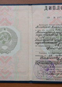 ВГПУ — диплом о высшем образовании — социальный педагог